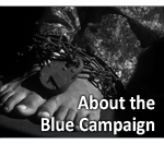 Homeland Security Blue Campaign Flier